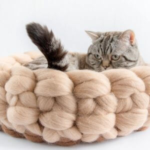 Beige Brown Round Cat Basket, Chunky Bed, Merino Cot, Knits Pet Bedding, Knitted Wool House, Catlover Gift Kitty Mat