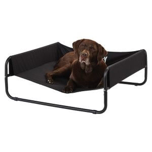 Bunty Raised Dog Bed, Elevated Dog Pet Bed Portable Waterproof Outdoor Raised Camping Basket, Large
