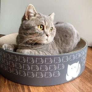 Catloaf Luxury Cat Scratcher Bed, Cardboard, Scratching Bed in Dark Grey Or White