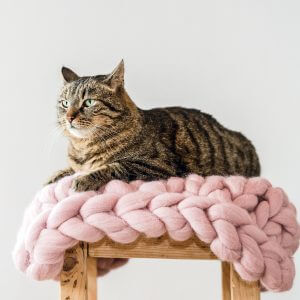 Chunky Cat Mat, Pink Rose Bed, Knitted Cute Ped Bedding, Wool Cushion, Woolen Pillow, Lover Gift