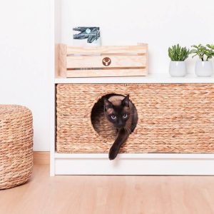 Ikea Billy Cat Basket 75 X 25 29 cm Nature From Water Hyacinth Animal Cave Stable For Small Dogs And