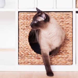 Ikea Kallax Expedit Cat Basket 34 X 33 cm Nature From Water Hyacinth Animal Cave Stable For Small Dogs & Cats