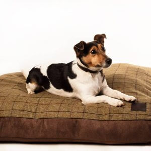 Large Comfy Dog Bed, Tweed Luxury Cushion