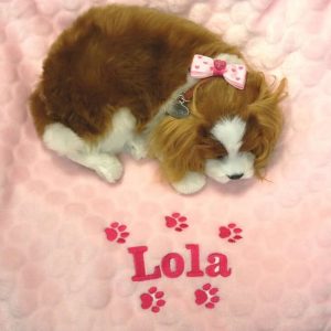 Personalised Dog Blanket. Cat Puppy Blanket. Kitten Embroidered Paw Prints & Your Pets Name
