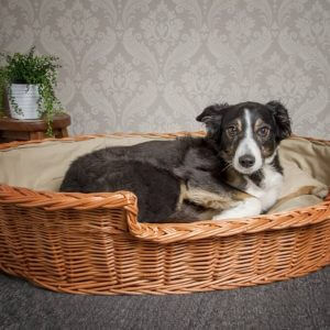 Wicker Dog Basket Light Colour Cushion