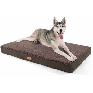 Balu, Dog Bed, Dog Cushion, Washable, Orthopedic, Non-Slip, Breathable Memory Foam, Size XL (120 x 10 x 72 cm)