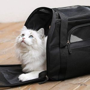 Cat Carry Bag, Handbag Detachable Washable Collapsible Shoulder Strap for Cat Kitten Small Dog Rabbit Pet Airplane Approved (48 * 25 * 34CM) Black