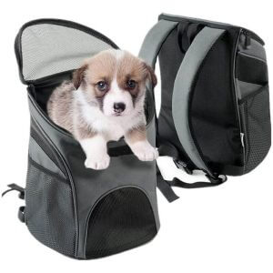 Dog Backpack Pet Cat Carrier Bag Fabric Shoulder Straps Pet Backpack For Small Dogs And Cats - Langray