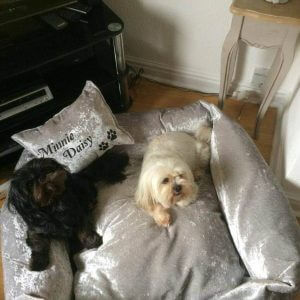 Large Luxury Square Dog Bed, Cat Crushed Velvet, Personalised