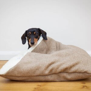 The Doggy Den Bed, Luxury Dog Bed From Designed For Dogs, Cave Snuggle Terrier Burrow, Whippet, Bespoke Xl Beds, Fleece, Nest