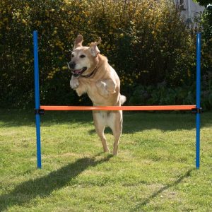 Fun & Sport Dog Agility Hurdle - 1 x Hurdle