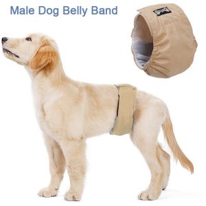 Male Dog Belly Band Pet Diaper Washable Wrap Waterproof Toilet Training Dog Physiological Pant, Beige , S
