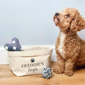 Personalised Dog Toy Basket, Gift, Box, Storage Puppy New