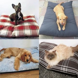 Pet Cushion Bed Dog Cat Extra Large Xl Hand Washable Removable Zipped Cover