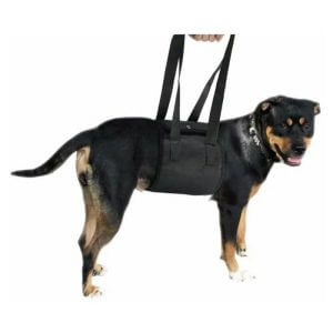 Pet transport belt, dog transport belt, pet support belt, pet protection belt, dog protective belt, pet supplies (black m)