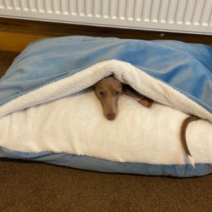Velvet Snuggle Dog Bed/Snuggle Cave/Super Soft Den
