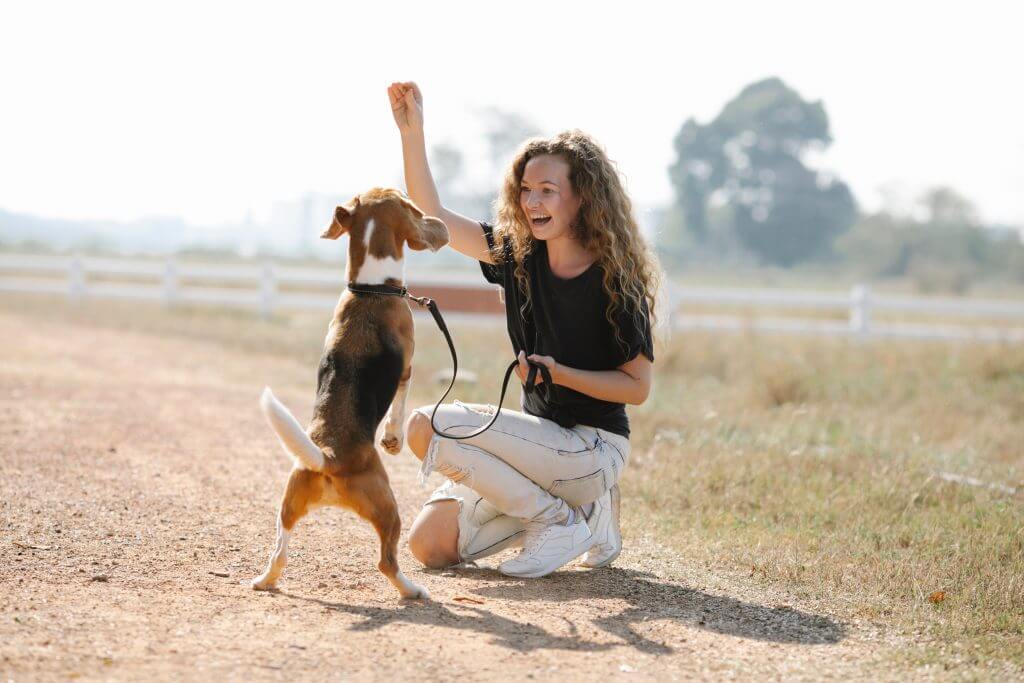 Hunting Dog
