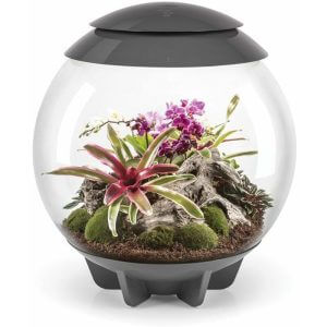 Biorb - air 60 Litre Automatic Terrarium in Grey with led Lighting