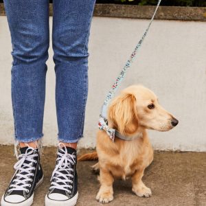 Cath Kidston Dog Collar Cat Lead & Bow Tie London Print Puppy Pet Accessories Kit