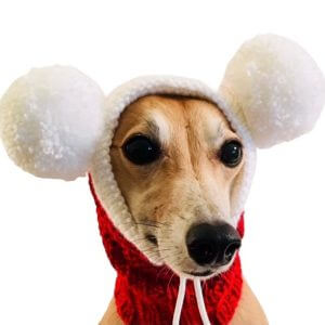 Knitted Santa Pompom Dog Hat, Gift For Lover