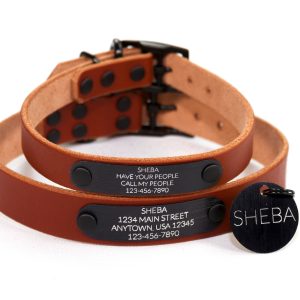Personalized Brown Leather Dog Collar, Engraved Round Black Hanging Tag & Quiet ID Nameplate