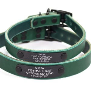 Personalized Dark Teal Green Leather Dog Collar, Engraved Black, Nameplate Quiet ID Tag