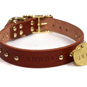 Personalized Studded Brown Leather Dog Collar, Brass/Gold Tone Dome Rivets, With Solid Hanging ID Tag