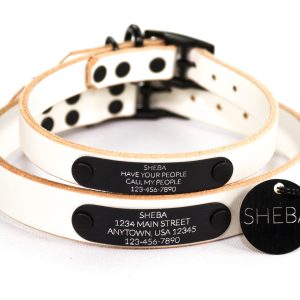 Personalized White Leather Dog Collar, Engraved Round Black Hanging Tag & Quiet ID Nameplate