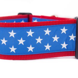 Royal Blue American Star 2 Inch Wide Dog Collar - Buckle Or Martingale Collar Patriotic Dog Star 4Th Of July