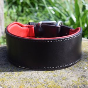 Wide Padded Leather Dog Collar - Size L