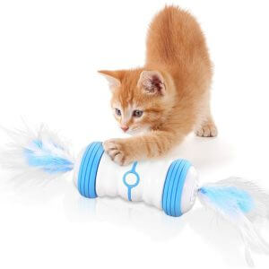 1 pc USB Rechargeable Interactive Electric Cat Toy, Cat Toys, LED Lights Cat Toys, Cat Feathers and Balls Cat Accessories + Replacement Feather