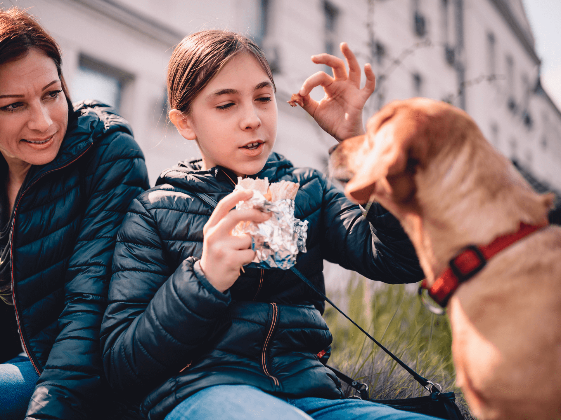 Can Dogs Eat Burritos? Are Burritos Safe For Dogs? Rested Paws