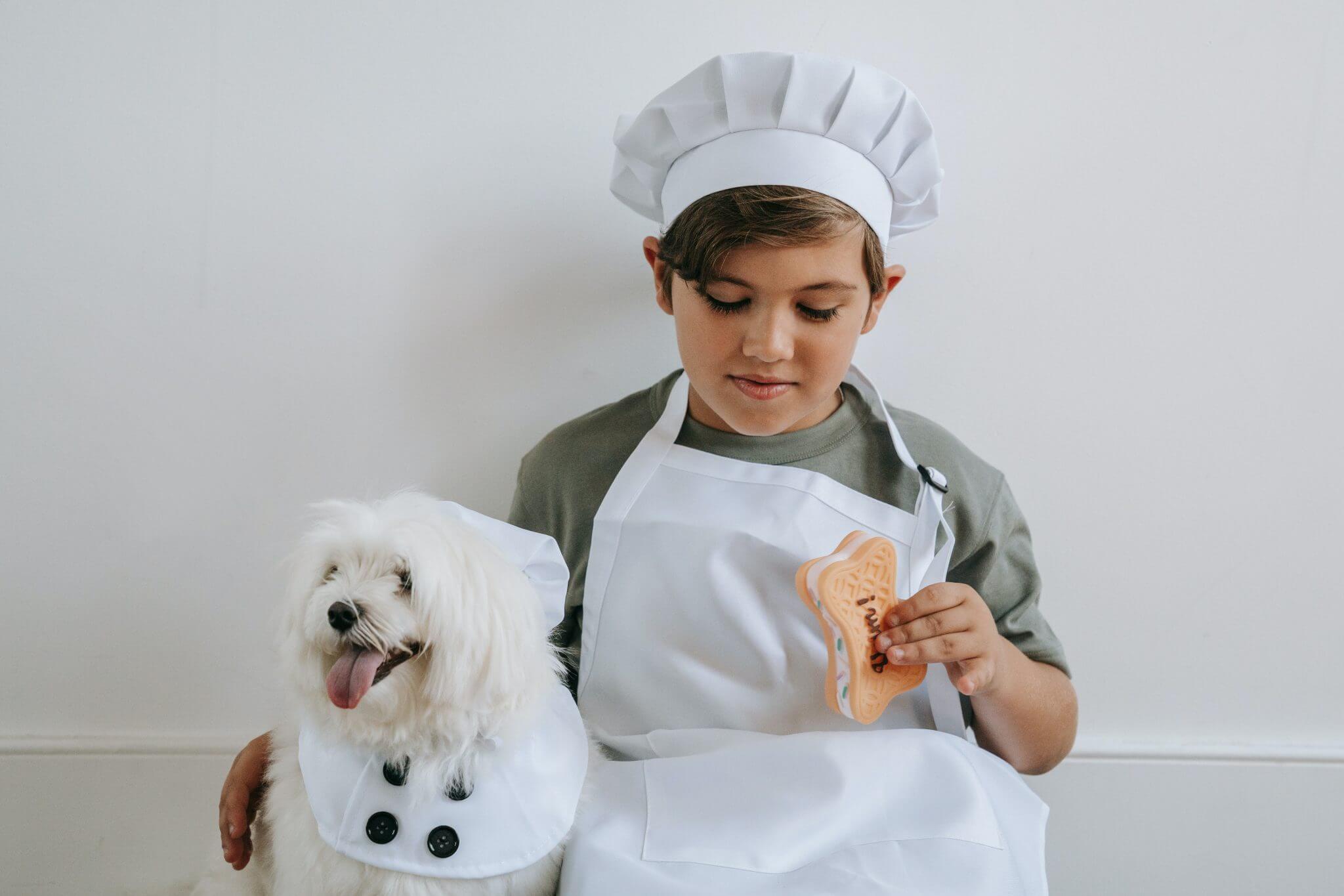 Can Dogs Eat Cookies Are Cookies Safe For Dogs Rested Paws