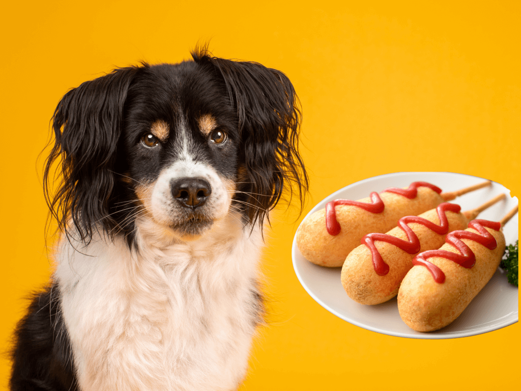 Can Dogs Eat Corn Dogs? Are Corn Dogs Safe For Dogs? Rested Paws