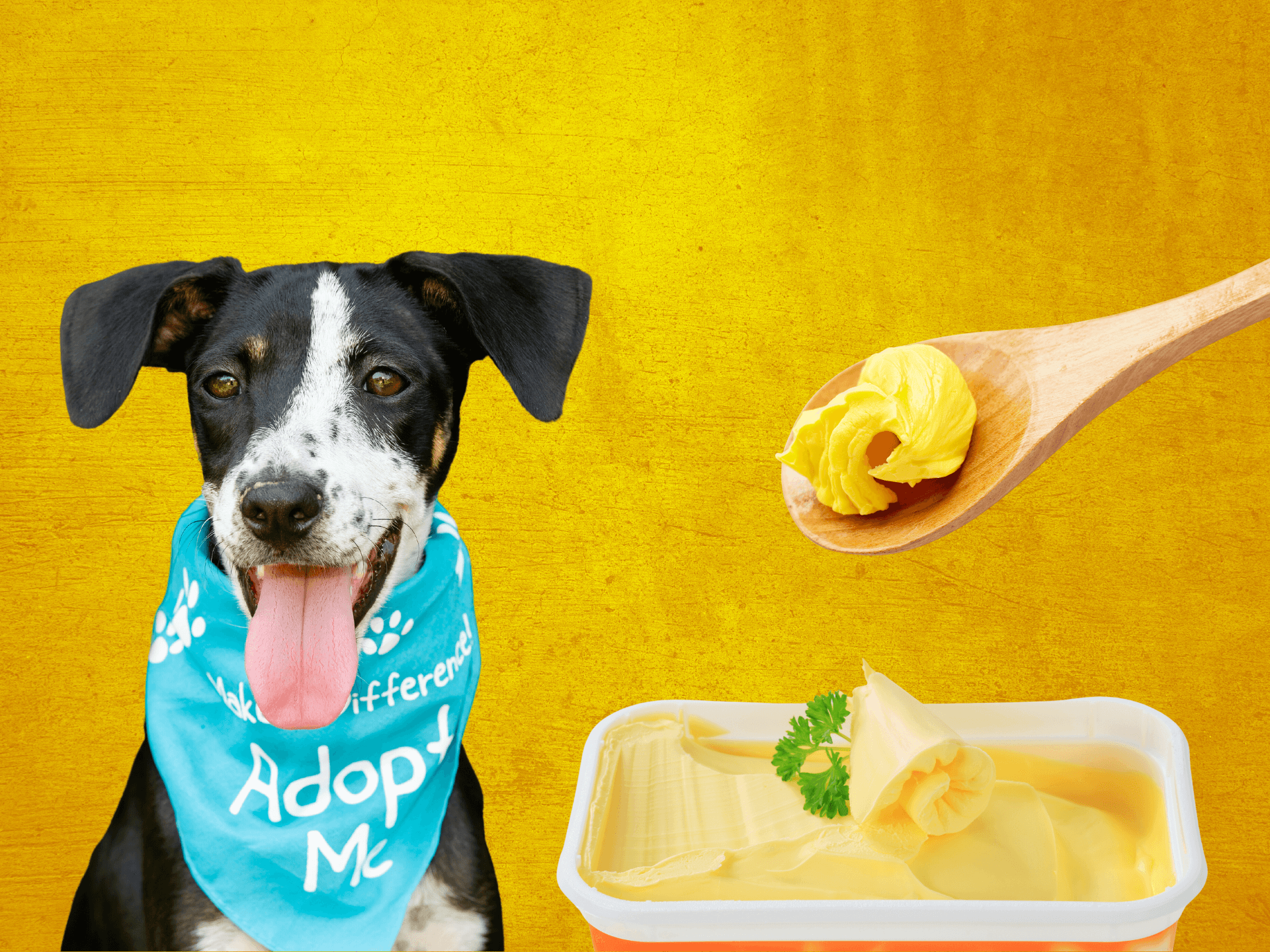 Can Dogs Eat Margarine Is Margarine Safe For Dogs
