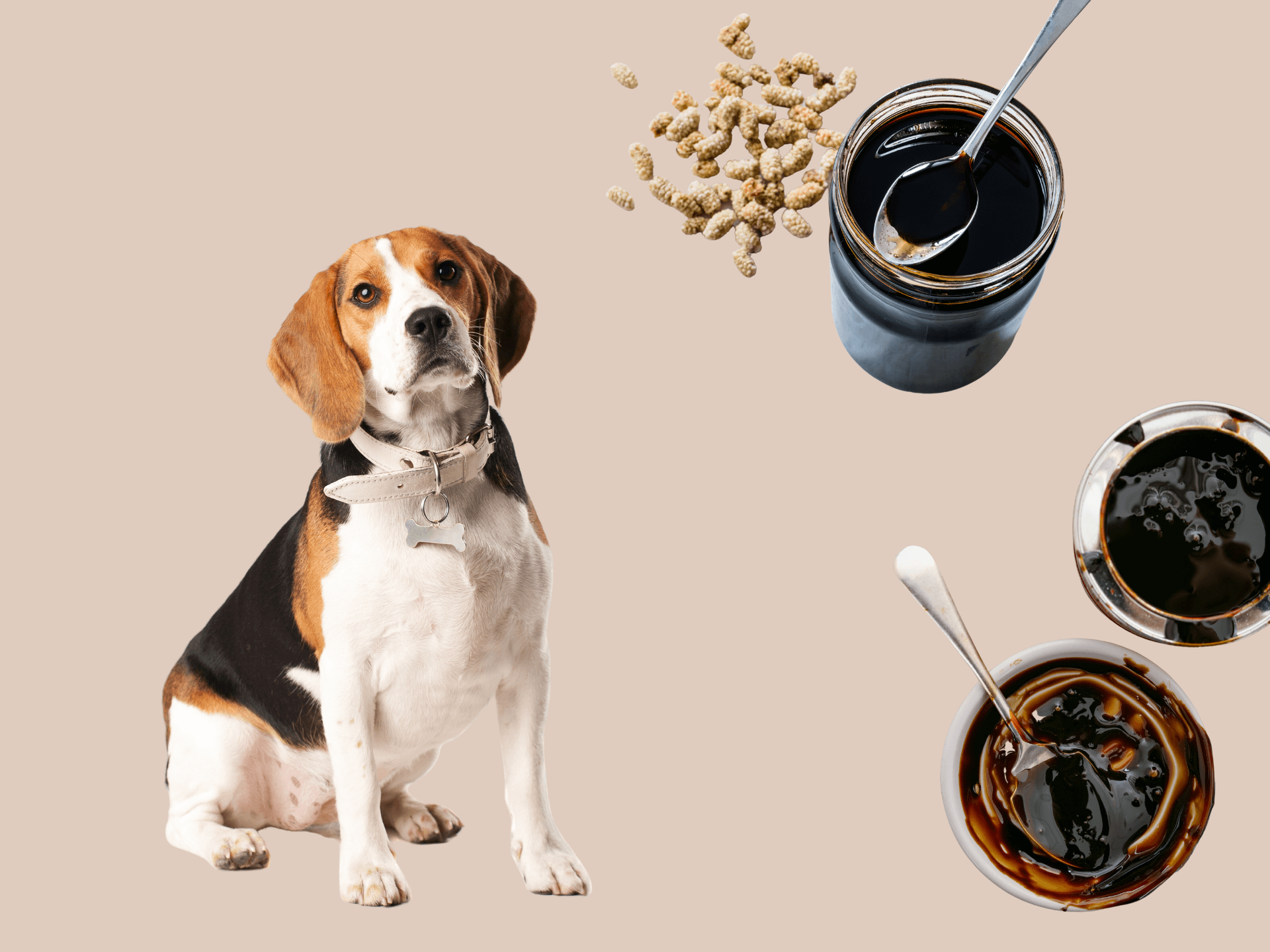 Can Dogs Eat Molasses Is Molasses Safe For Dogs