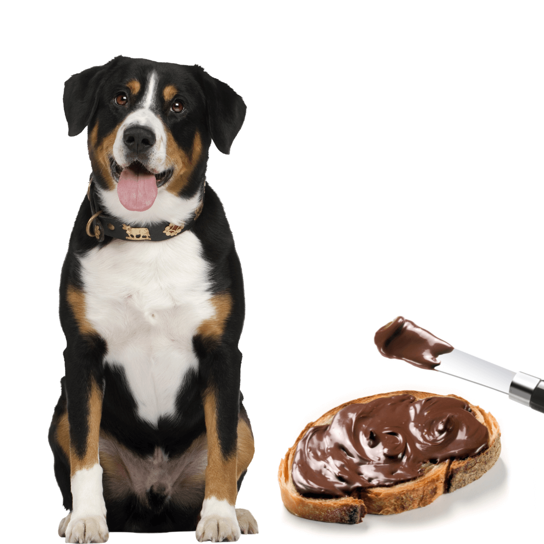 Can Dogs Eat Nutella Is Nutella Safe For Dogs
