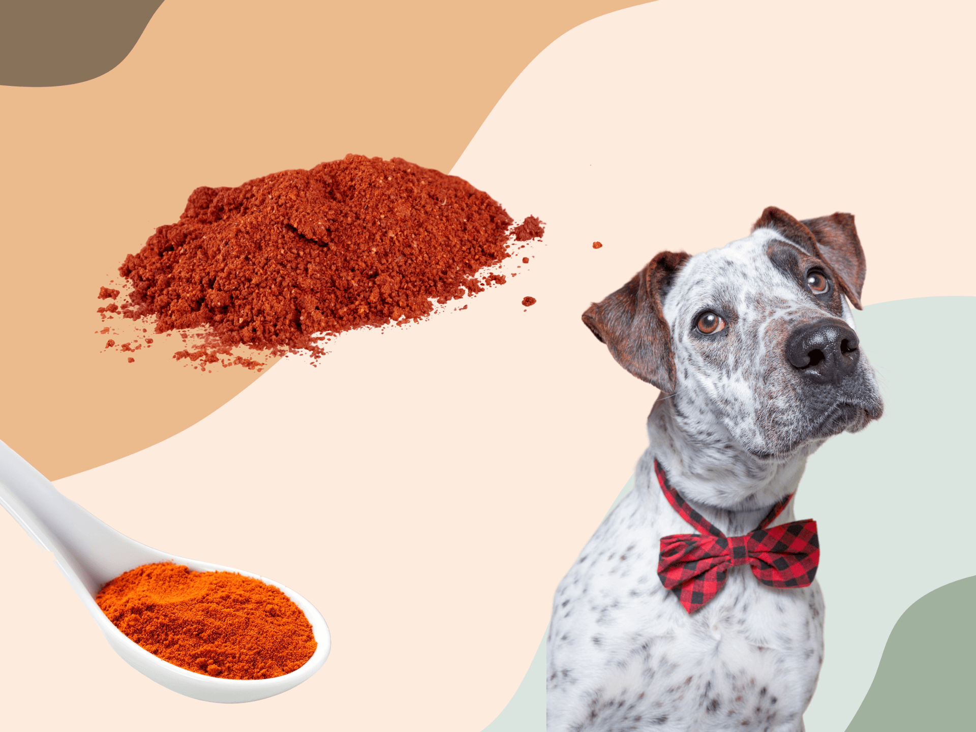 Can Dogs Eat Paprika Is Paprika Safe For Dogs
