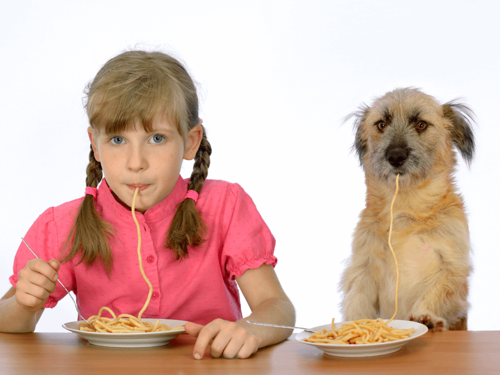 Can Dogs Eat Pasta? Is Pasta Safe For Dogs? Rested Paws