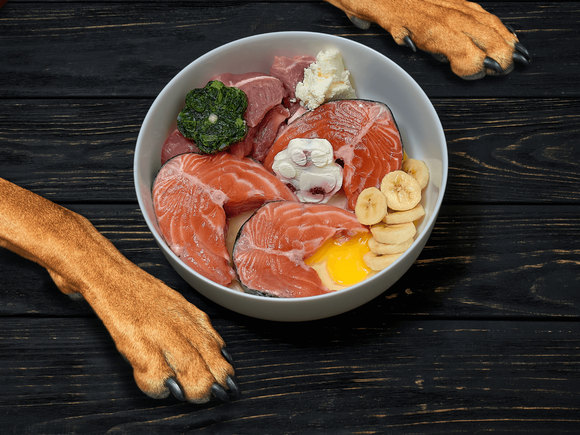 Can Dogs Eat Salmon Is Salmon Safe For Dogs