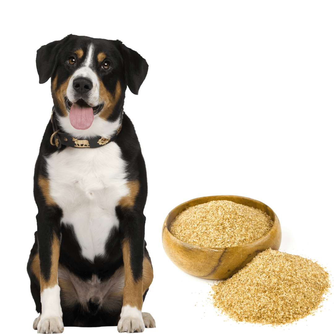 Can Dogs Eat Wheat Germ Is Wheat Germ Safe For Dogs