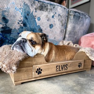 Personalised Wooden Pet Bed For Cats & Dogs | 3 Sizes Available